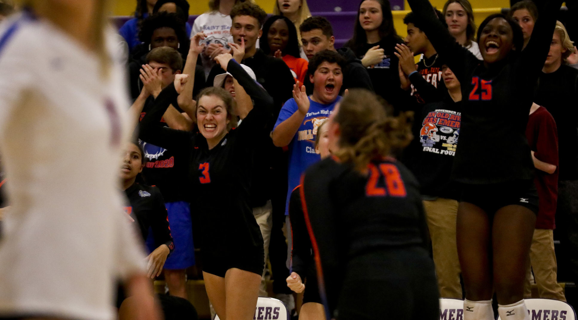 St Teresa Volleyball 23 11.08.19.JPG